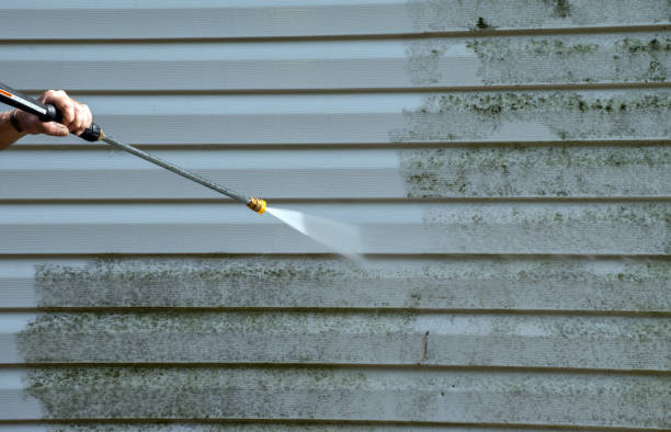 Best Roof Power Washing Services  in South Plainfield, NJ